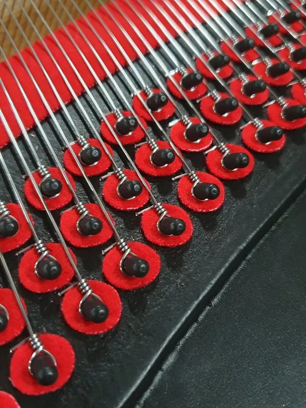 Chevilles d'accord et cordes d'un piano à queue